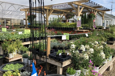 美国花卉园林园艺展览会展会现场图片