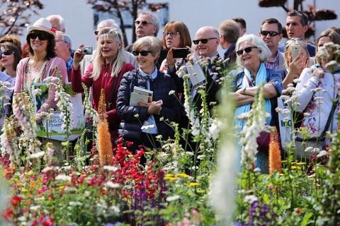 英国切尔西花展展会现场图片