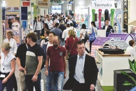 德国科隆体育用品、露营设备及园林园艺展览会展会现场图片