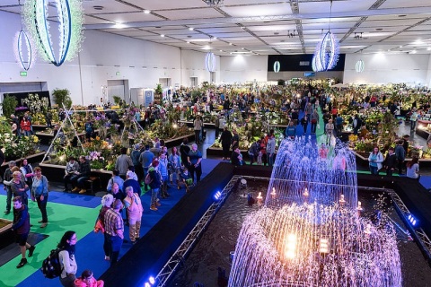 德国德累斯顿花卉园艺展览会展会现场图片