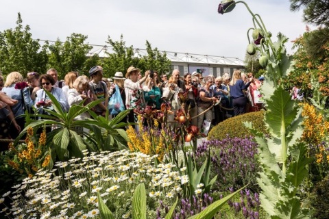 英国切尔西花展展会现场图片