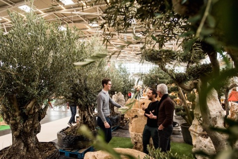 德国慕尼黑花卉园艺展览会展会现场图片