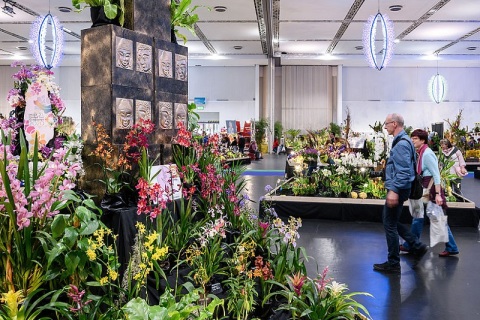 德国德累斯顿花卉园艺展览会展会现场图片