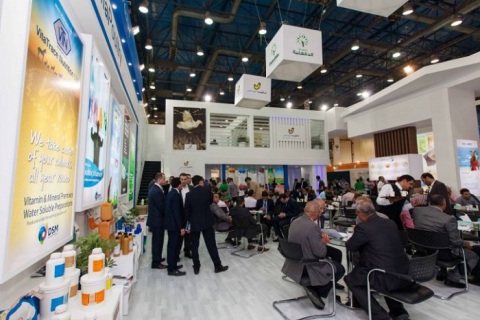 埃及开罗畜牧、渔业展览会展会现场图片