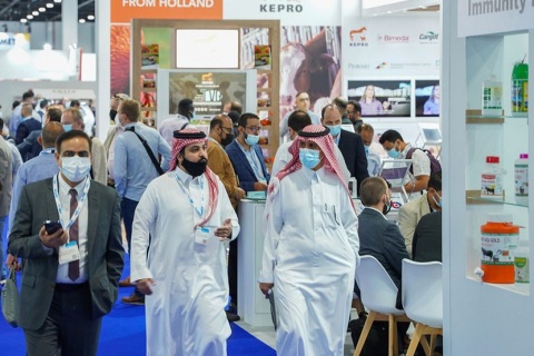 中东阿布扎比畜牧展展会现场图片