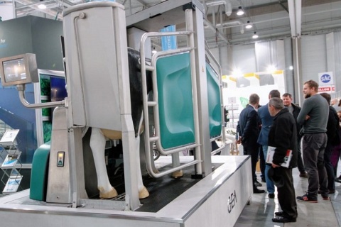 波兰波兹南畜牧展览会展会现场图片