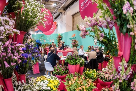 德国埃森花卉园艺展览会展会现场图片