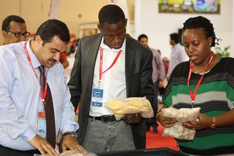 加纳食品展AFS展会现场图片