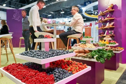 西班牙马德里果蔬及加工设备展展会现场图片