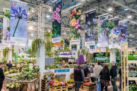 德国埃森花卉园艺展览会展会现场图片
