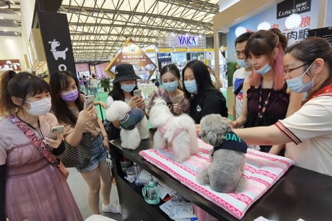 深圳亚宠华南宠物用品展展会现场图片