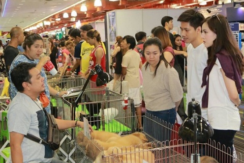 泰国曼谷宠物用品展览会展会现场图片