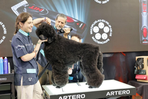 广州国际自有品牌展展会现场图片