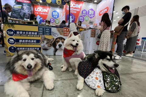 台湾宠物用品展览会展会现场图片
