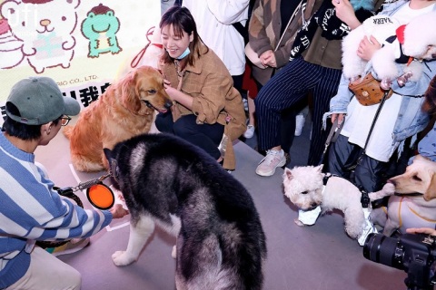 成都国际宠物展-成都宠博会展会现场图片