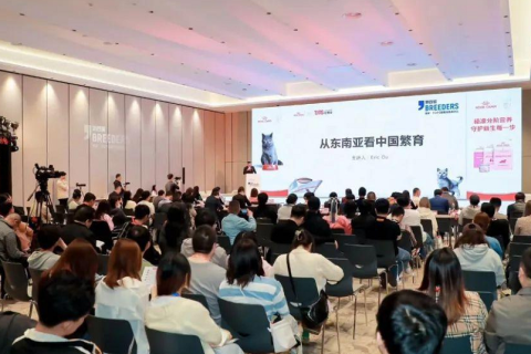 上海它博会展会现场图片