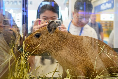 上海亚洲宠物供应链展览会展会现场图片