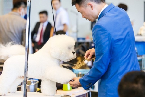 郑州中原国际宠物供应链博览会展会现场图片