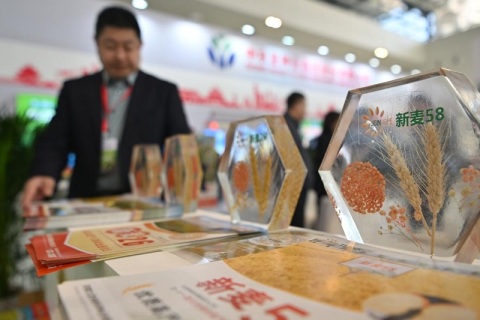 哈尔滨种业博览会展会现场图片