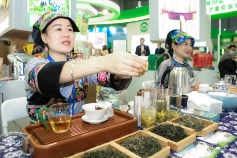 湖南长沙农业博览会-湖南农博会展会现场图片