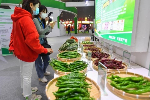 湖南长沙农业博览会-湖南农博会展会现场图片