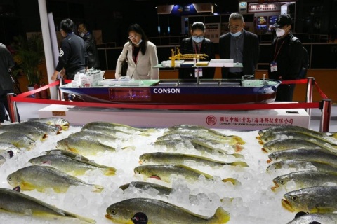 青岛渔博会展会现场图片