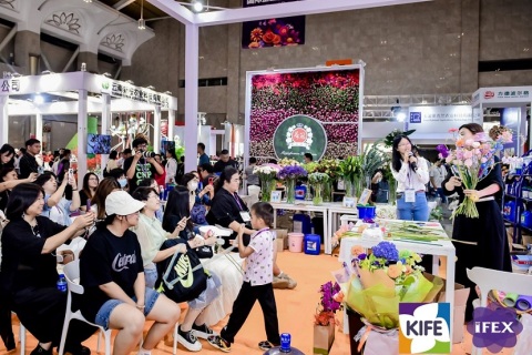 昆明国际花卉园艺展展会现场图片