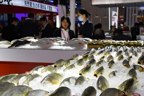 青岛渔博会展会现场图片