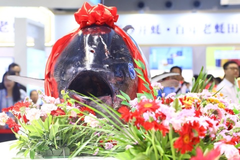 深圳国际渔业博览会展会现场图片