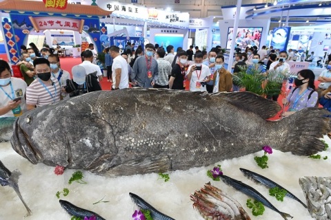 福州渔业及水产养殖展-福建渔博会展会现场图片
