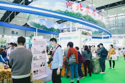 广州国际优质大米及品牌杂粮展览会展会现场图片