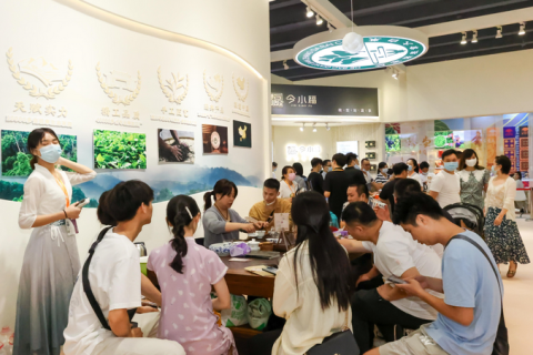广州国际茶叶展-广州茶博会展会现场图片