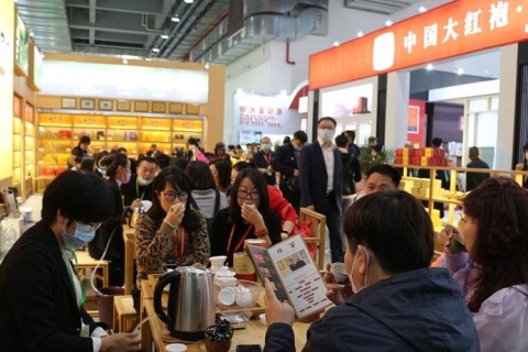 大连国际茶产业展-大连茶博会展会现场图片