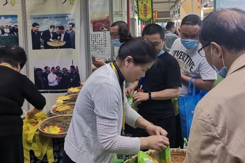 重庆国际茶产业展-重庆茶博会展会现场图片