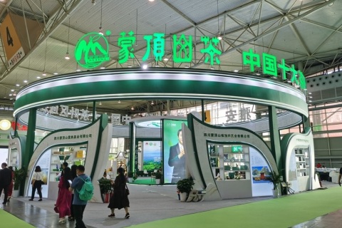 山东烟台茶博会展会现场图片