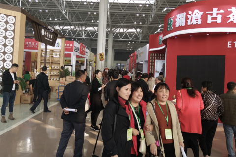 临沂国际茶产业展展会现场图片