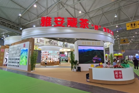 江苏南通国际茶博会展会现场图片