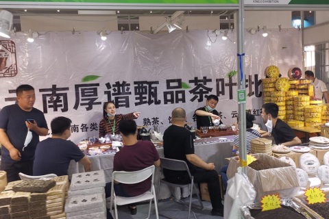 天津茶叶展-天津茶博会展会现场图片