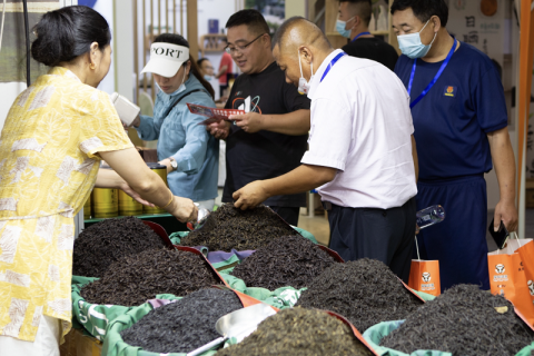 临沂国际茶产业展展会现场图片