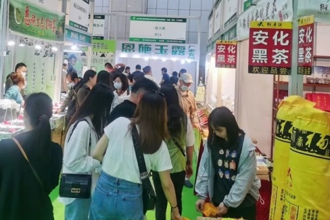 武汉茶业展-武汉茶博会展会现场图片