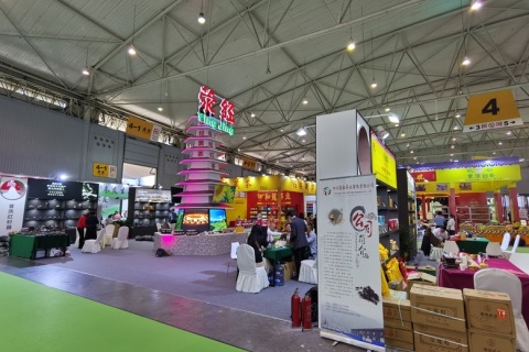 山东烟台茶博会展会现场图片