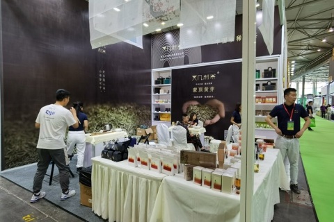 山东烟台茶博会展会现场图片