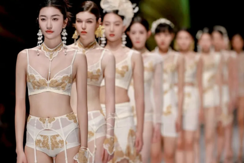 越南贴身服饰展-越南内衣展展会现场图片