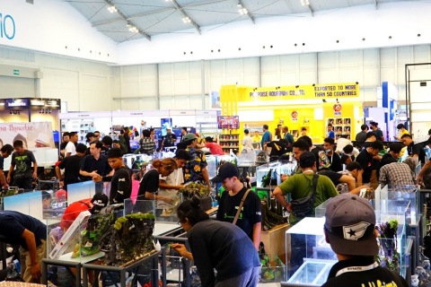 印尼雅加达消费电子展览会展会现场图片