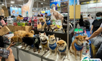 2025台湾宠物用品展览会参展商名录