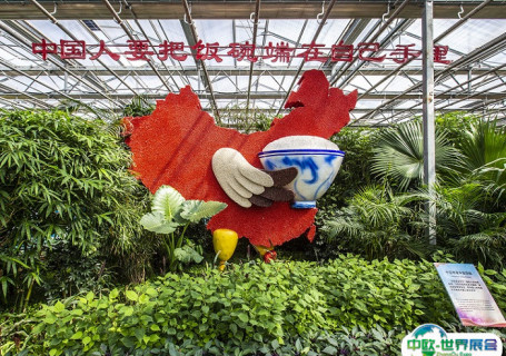 长春农业博览园会展中心图片