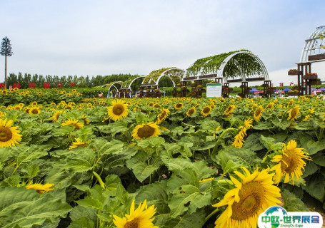 长春农业博览园会展中心图片