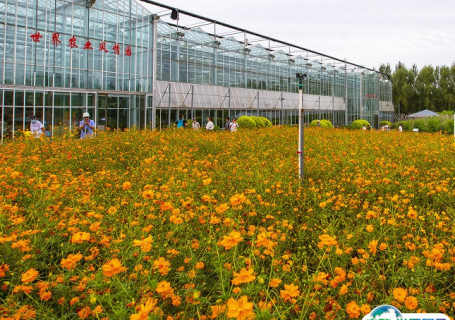 长春农业博览园会展中心图片