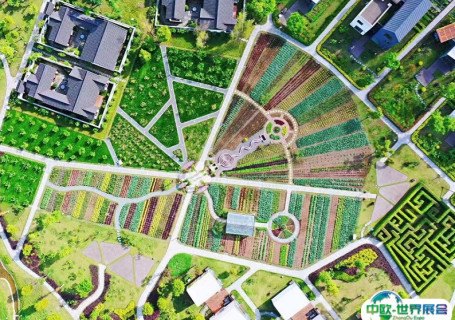 成都天府农业博览园会展中心图片