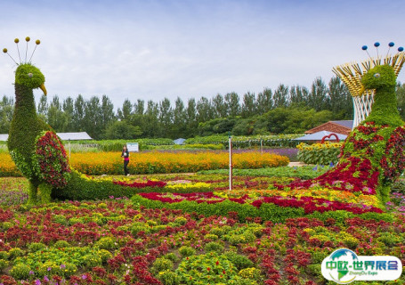 长春农业博览园会展中心图片